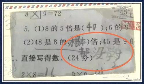 娱乐吃瓜酱试卷